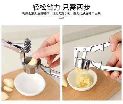 Stainless Steel Garlic Crusher
